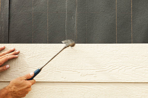 Best Siding Removal and Disposal  in Versailles, IN